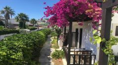 Salinas Beach Hotel Bodrum