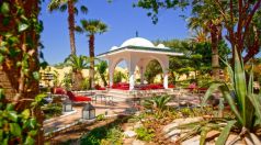 Samira Club Standard