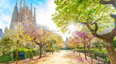 Настаняване по програмата